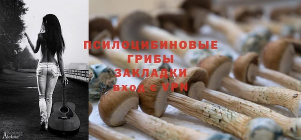 ГАЛЛЮЦИНОГЕННЫЕ ГРИБЫ Абаза