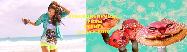 винт Алексеевка