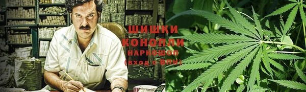 ГАЛЛЮЦИНОГЕННЫЕ ГРИБЫ Абаза