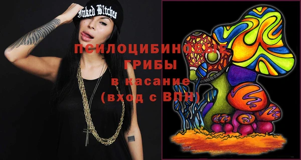 ГАЛЛЮЦИНОГЕННЫЕ ГРИБЫ Абдулино