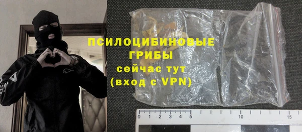 ГАЛЛЮЦИНОГЕННЫЕ ГРИБЫ Абаза