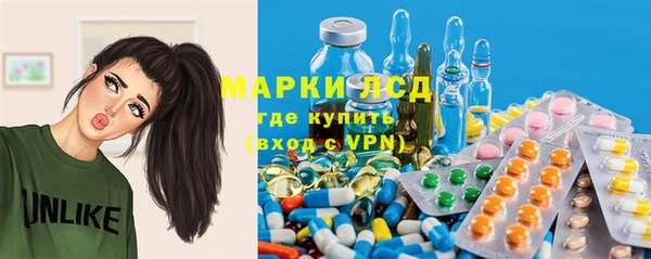 ГАЛЛЮЦИНОГЕННЫЕ ГРИБЫ Абаза